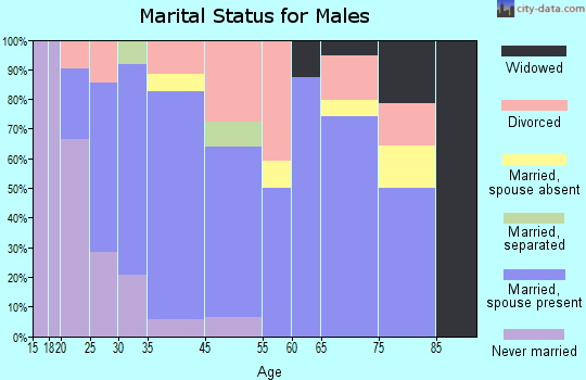 Bridger marital status for males