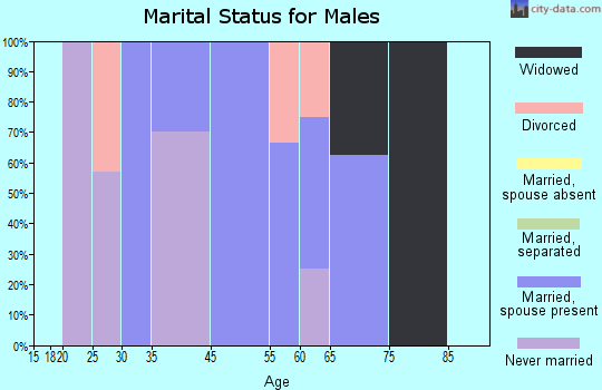 Custer marital status for males