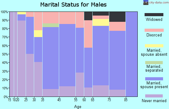 Dillon marital status for males