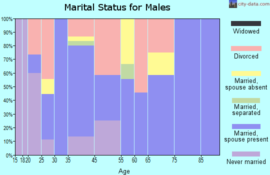 Havana marital status for males