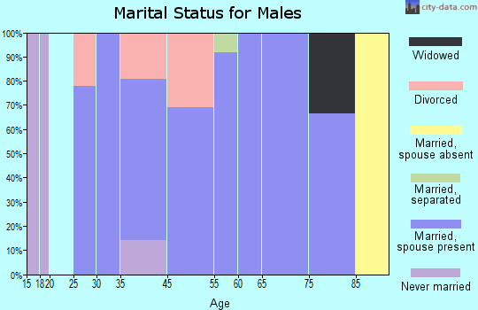 Joplin marital status for males