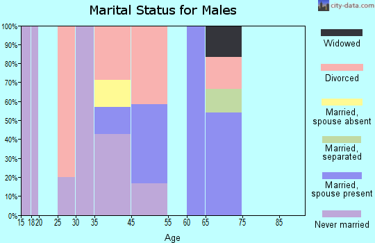 Haynes marital status for males