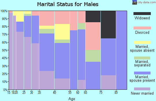 Lame Deer marital status for males