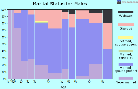 Lewistown marital status for males