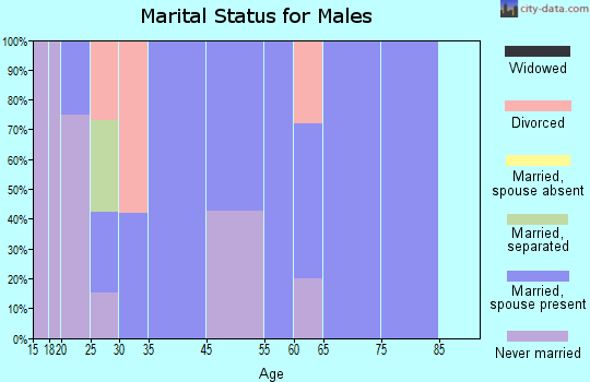 Lewistown Heights marital status for males