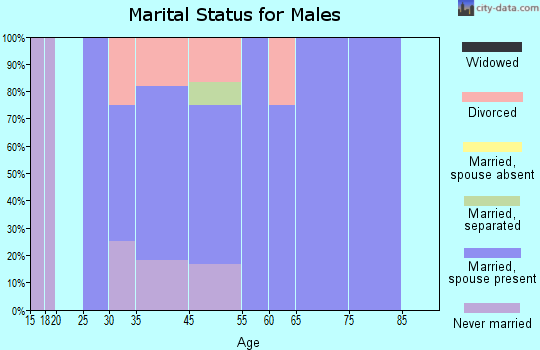 Lima marital status for males