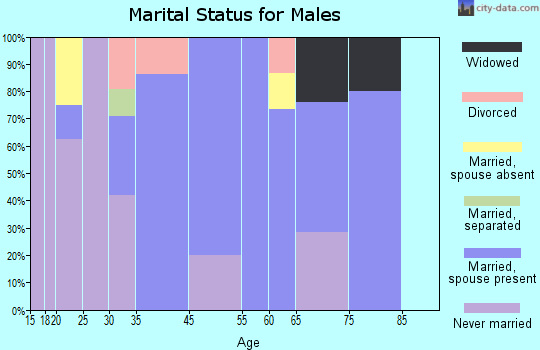Elkmont marital status for males