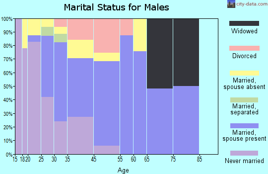 North Browning marital status for males