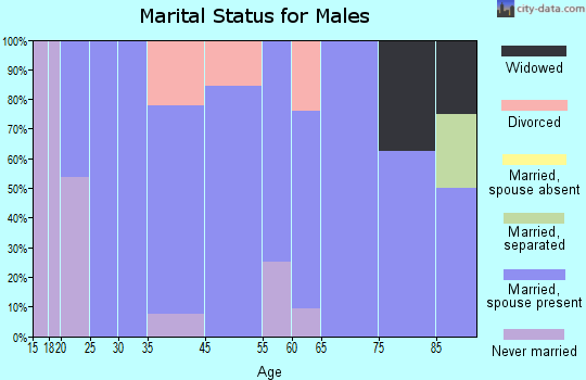 Hickory Ridge marital status for males