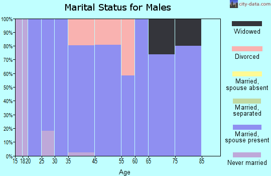 Sunburst marital status for males