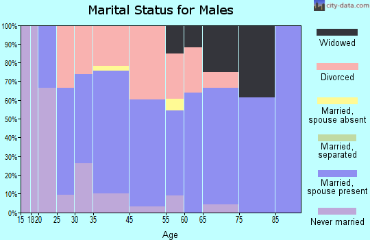 Troy marital status for males