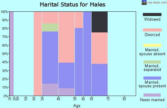 Virginia City marital status for males