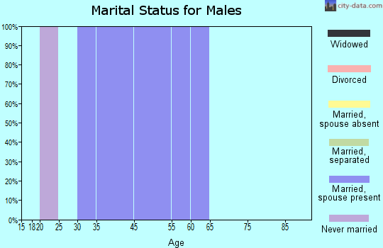 West Havre marital status for males