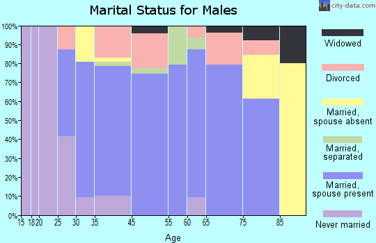 White Sulphur Springs marital status for males