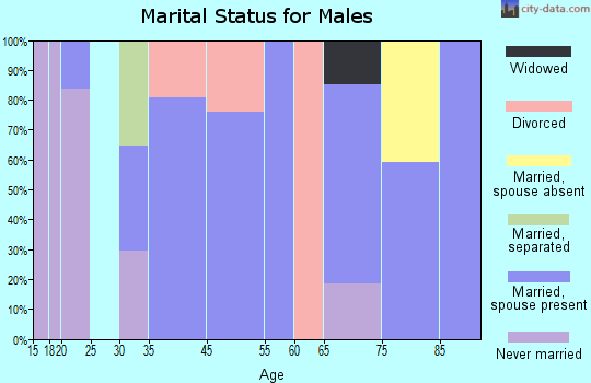 Worden marital status for males