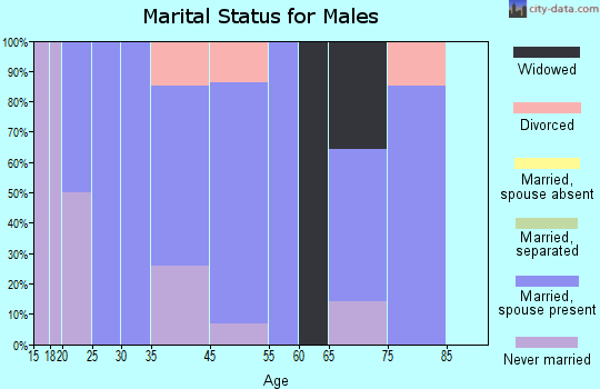 Amherst marital status for males