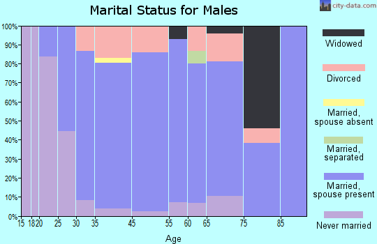 Arlington marital status for males
