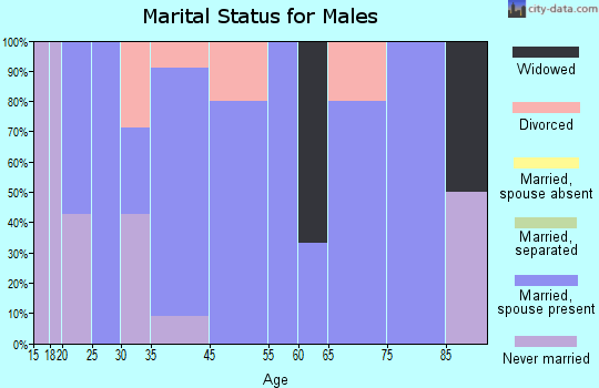 Ashton marital status for males