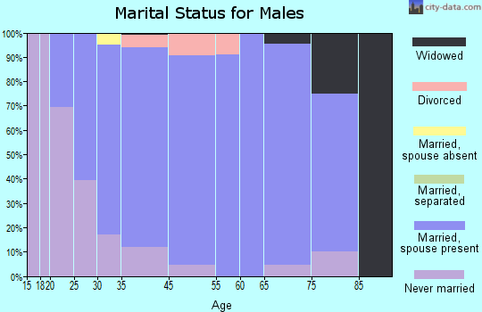 Battle Creek marital status for males
