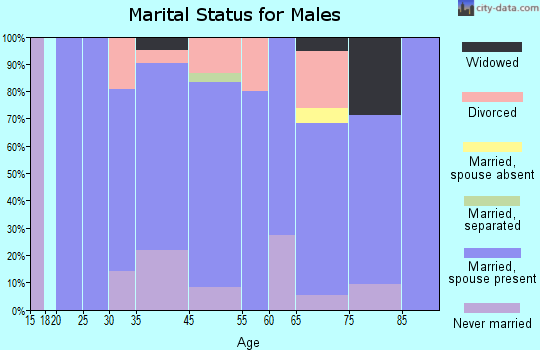 Beaver City marital status for males