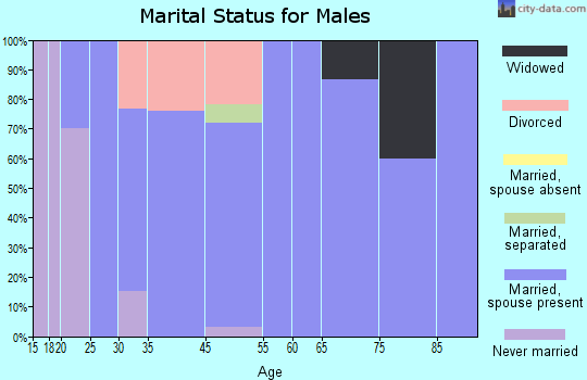 Beaver Crossing marital status for males