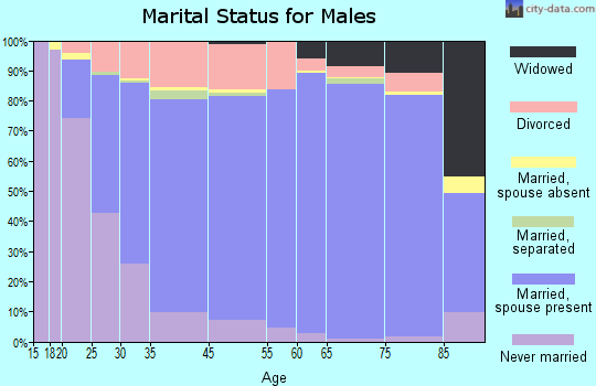 Bellevue marital status for males