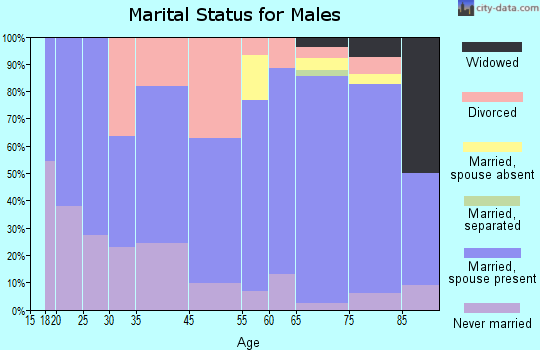 Horseshoe Bend marital status for males