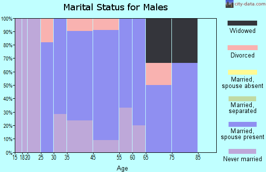 Bladen marital status for males