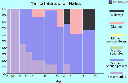 Blue Springs marital status for males
