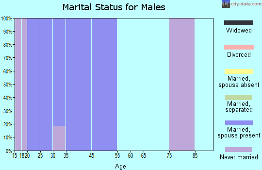 Boys Town marital status for males