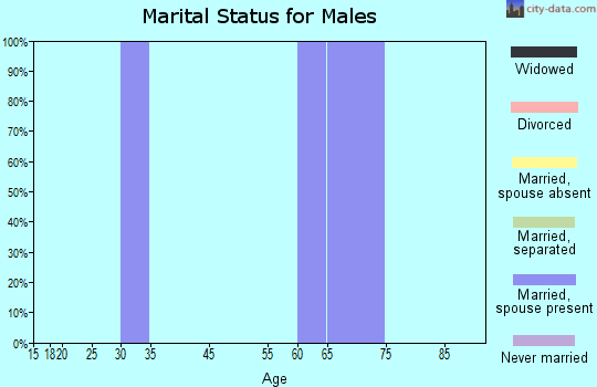 Brewster marital status for males