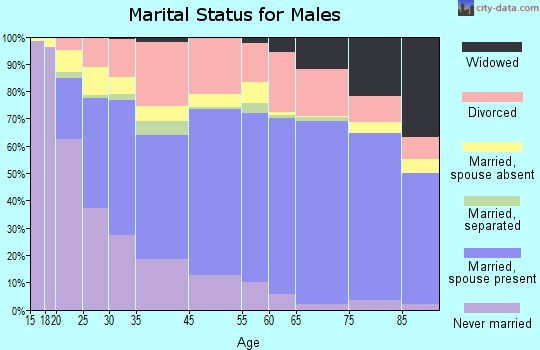 Hot Springs marital status for males
