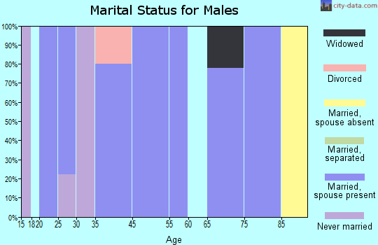 Brock marital status for males