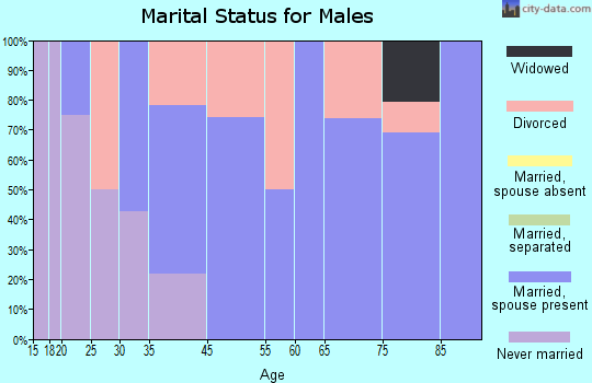 Brule marital status for males
