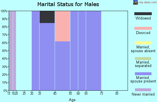 Brunswick marital status for males