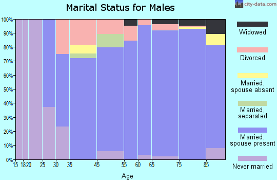 Hot Springs Village marital status for males
