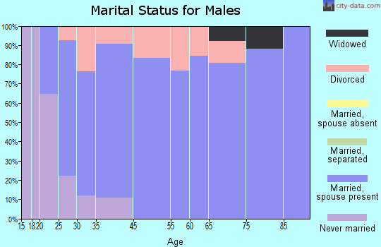 Cairo marital status for males