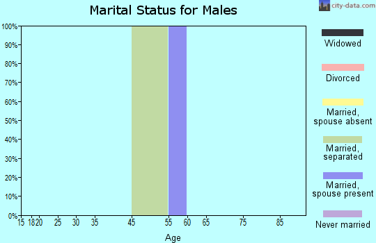 Emelle marital status for males