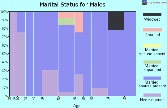 Chambers marital status for males
