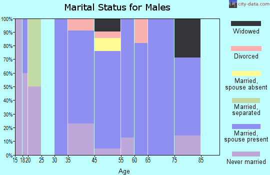 Chester marital status for males
