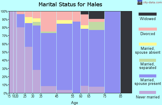 Dakota City marital status for males