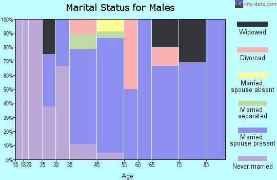 Dannebrog marital status for males