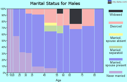 Decatur marital status for males