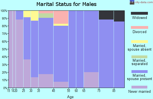 Dorchester marital status for males