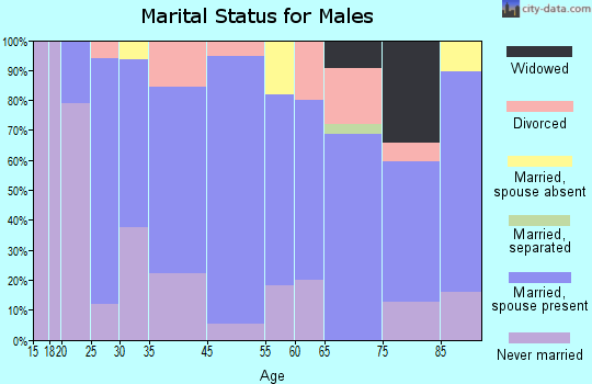 Emerson marital status for males
