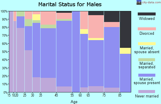 Fairbury marital status for males