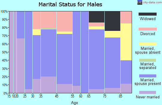 Falls City marital status for males