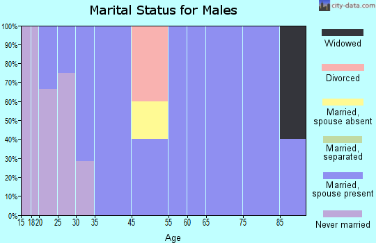 Johnson marital status for males