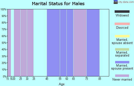 Johnstown marital status for males