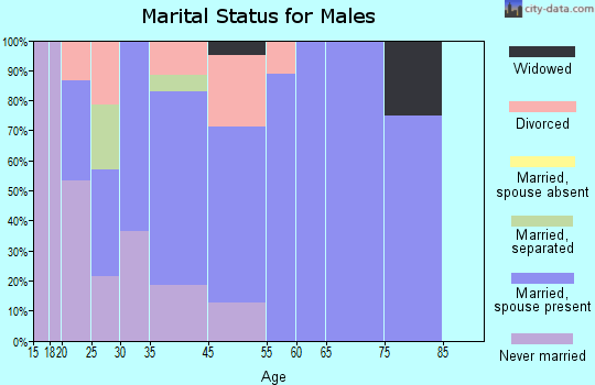 Juniata marital status for males